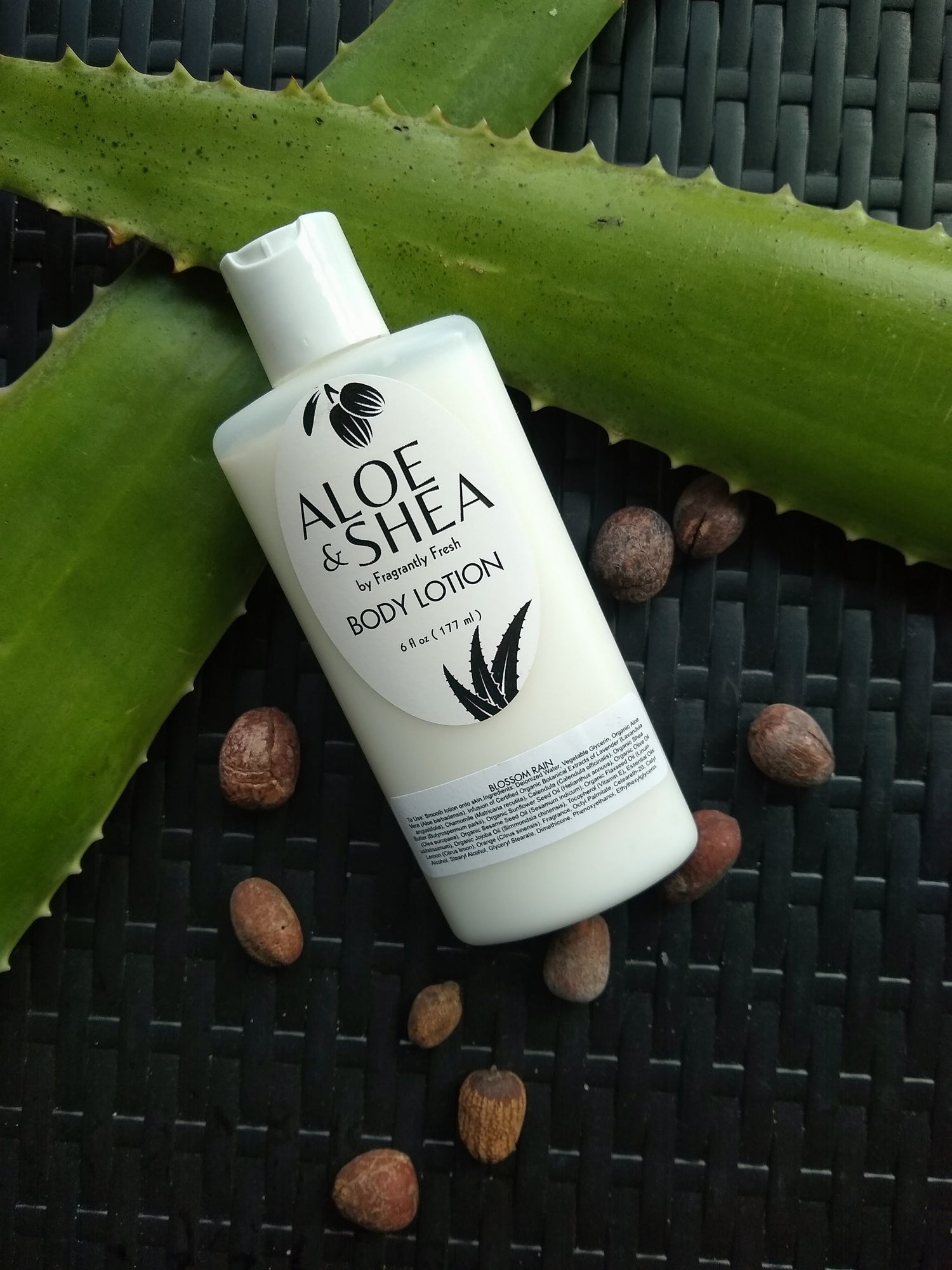 Aloe & Shea - Body Lotion