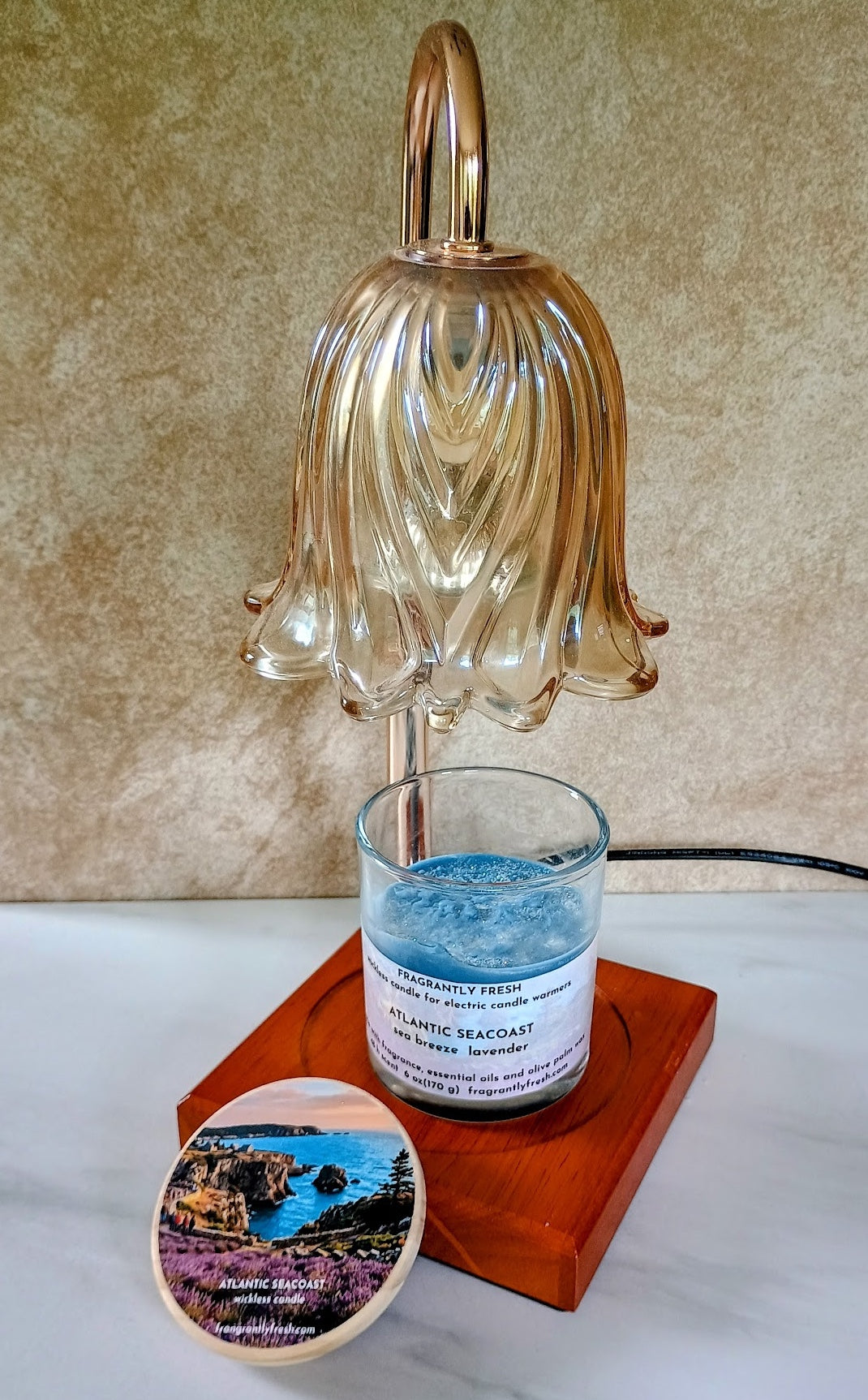 Atlantic Seacoast Handcrafted Wickless Jar Candle