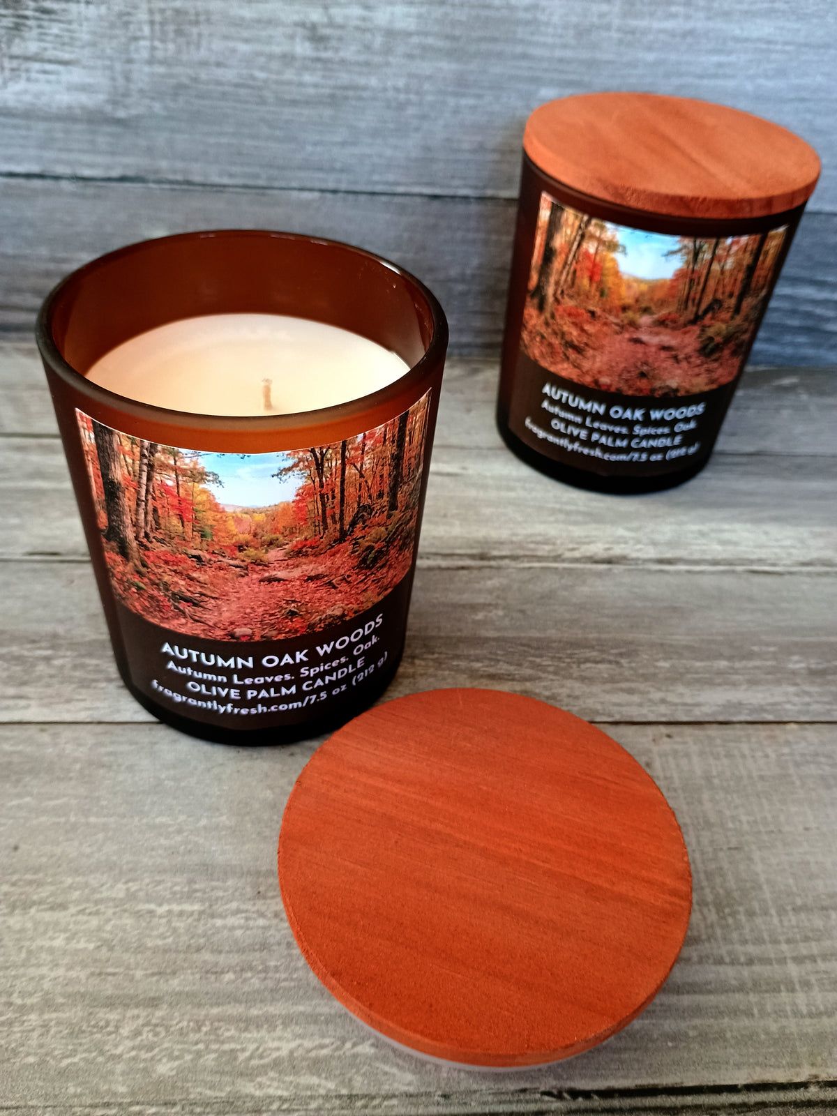 AUTUMN OAK WOODS (7.5 oz Palm &amp; Olive Wax Candle)